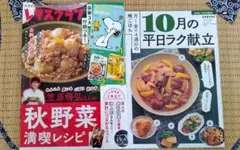 レタスクラブ　2025年10,11月合併号　家計簿のみなし