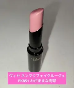 ヴィセ ネンマクフェイクルージュ PK851