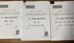9/13まで　未使用　解答用紙付き2024 司法書士答練実力養成編、実力診断模試 9/13まで 未使用 解答用紙付き2024 司法書士答練実力養成編