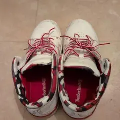 Item thumbnail for item 0f1e6089-ef78-489a-9b58-b831994b3a20