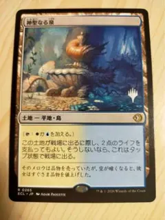 2026年最新】神聖なる泉の人気アイテム - メルカリ