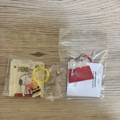 PEANUTS スヌーピー ミニチャーム 2種