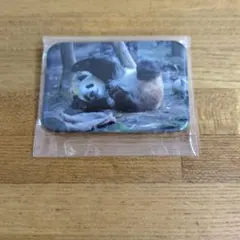 パイン様 リクエスト 2点 まとめ商品