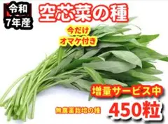 mmm様 リクエスト 2点 まとめ商品