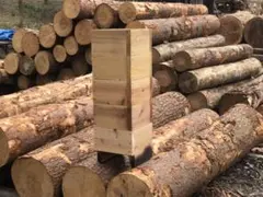 Item thumbnail for item 79d45e0d-889c-4ff8-a161-3e0a635fc602