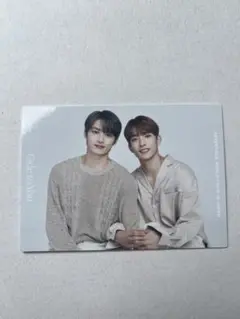 SEVENTEEN ジュン ドギョム トレカ