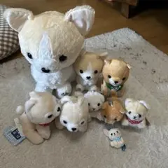 犬 ぬいぐるみ まとめ売り