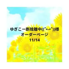 ゆぎこー断捨離中((՞•֊•՞))様　オーダーページ　11/14