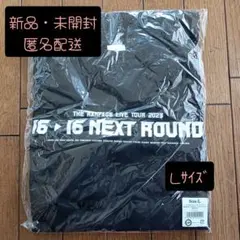 希少レア】 THE RAMPAGE バックプリント Tシャツ - メルカリ
