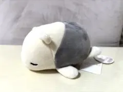 りぶはあと マシュマロ アニマル ぬいぐるみ マスコット アリクイ ルイルイ