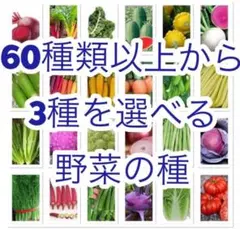 みどり様 リクエスト 2点 まとめ商品