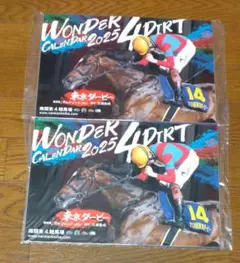 JRA 南関東4競馬場 カレンダー 2025年 2冊　新品 未開封 非売品