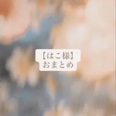 はこ様2点おまとめ