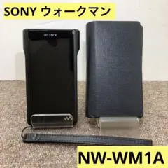 【美品】　SONY　ウォークマン　ケース付き　NW-WM1A　128GB