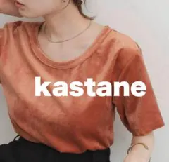 4,290円→2,000円　kastane カスタネ 半袖Tシャツ ベロア調