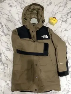 THE NORTH FACE GORE-TEX ダウンジャケット S