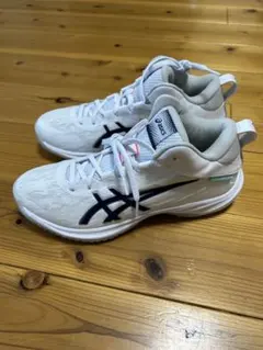 asics GELHOOP V17 バッシュ