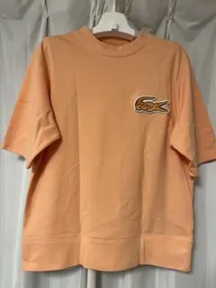 Item thumbnail for item c011e30d-e45b-4233-a685-2393f538d8d7