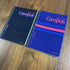 Item thumbnail for item 927c52f9-1e9e-4092-97c1-dae2afd59e7e