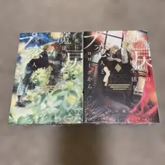 Item thumbnail for item e43cfe0f-8338-4a8e-b202-b274e41c4c20