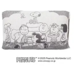 Item thumbnail for item e8a6f869-3a9d-4226-8b6b-7652f025727f