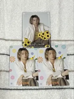 Sun Flower 瀬口黎弥フォトカード