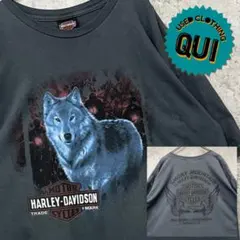 レアUSA製古着00s○両面プリントTシャツ ハーレーダビッドソン メンズXL