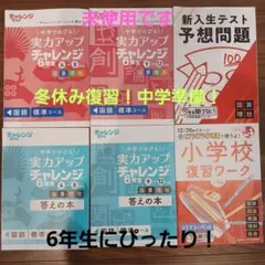 進研ゼミ 学習参考書