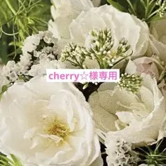 cherry☆様専用　レジンネックレス