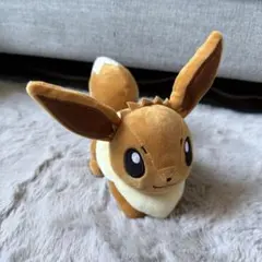 イーブイ キャラクターグッズ
