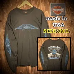 USA製 ハーレーダビッドソン 両面プリント　ロンT ブルーフレイム　袖プリント