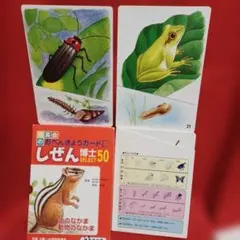 2026年最新】理英会 しぜん博士の人気アイテム - メルカリ