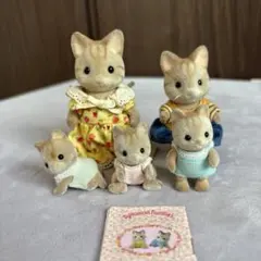 【廃盤】シルバニアファミリー シマネコ 5体セット 森のおはなし1冊付き