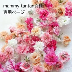 mammy tantan☆様 専用ページ