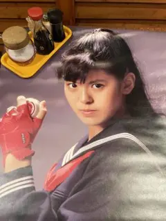 南野陽子 スケバン刑事 2 少女鉄仮面伝説 HDリマスター版 ポストカード