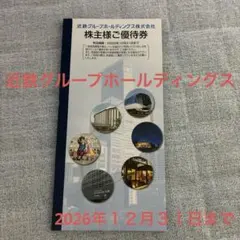 近鉄グループホールディングス 株主様ご優待券 2026年12月末まで