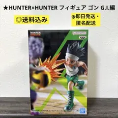 【未使用・即日発送】HUNTER×HUNTER フィギュア ゴン G.I.編