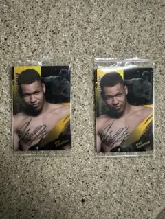 エドポロキング　RIZIN サインカード 2枚セット