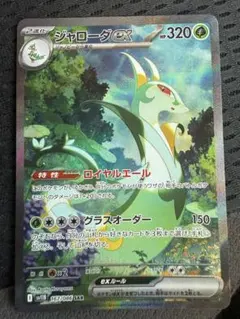 ジャローダex SAR ポケモンカード ブラックボルト ポケカ