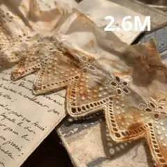 1点のみ☆ ジャンクジャーナル素材☆錆染めヴィンテージcottonレースC