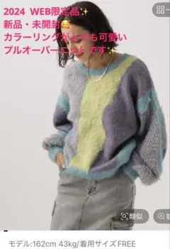 2024発売　ベイフロー　ニュアンスパターンニット　WEB限定完売・新品・未開封