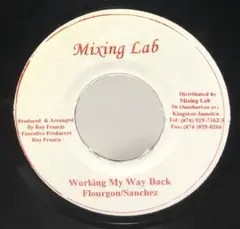 サンチェス/フローガン - Working My Way Back To You