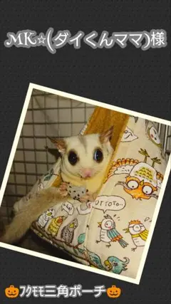 【MK様 、ご確認用ページ】フクロモモンガポーチ、三角ポーチ、フクモモ