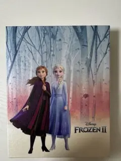 アナと雪の女王1・2 Movie NEXセット　純正ケース入り