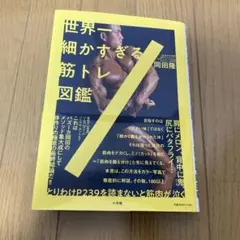 Item thumbnail for item b15e672d-5282-442d-a454-43fc5099314d