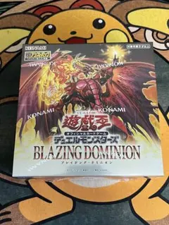 2026年最新】BLAZING DOMINIONの人気アイテム - メルカリ