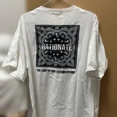 Item thumbnail for item 4fdb36f3-3afd-4f70-b078-463b6af102ac