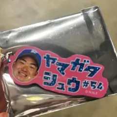 【シークレット】【カタカナシリーズ】ラメキーホルダー 山縣秀のサムネイル