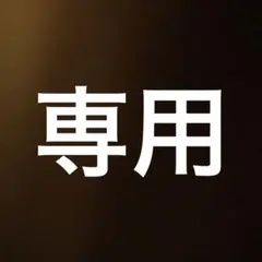 ゆたか様専用　綾瀬はるか　2L a.bセット