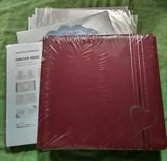 2025年最新】クリエイティブメモリーズ アルバムカバー 12インチ